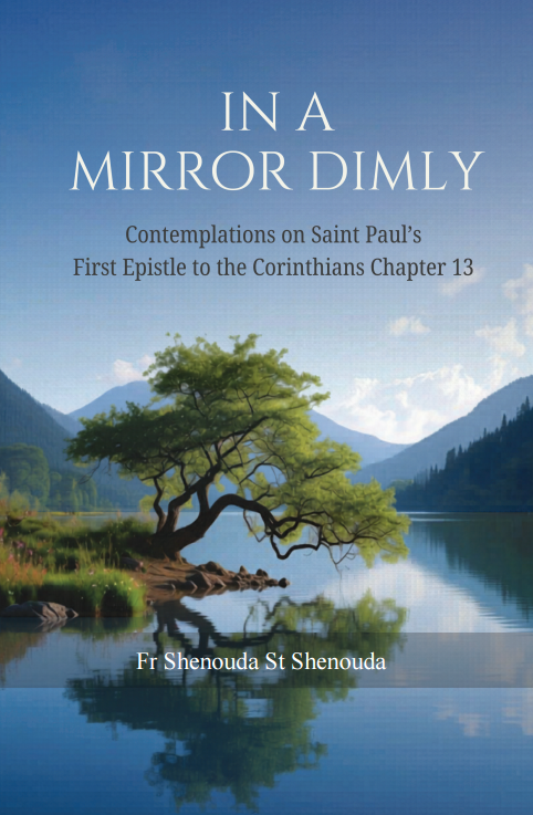In a Mirror Dimly