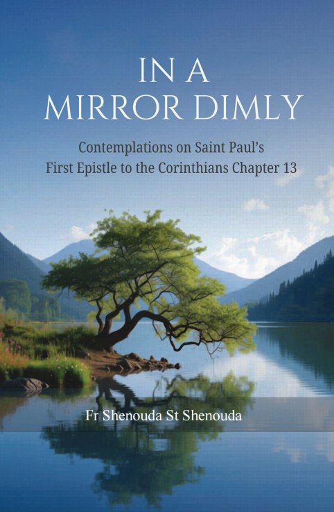Cover of In a Mirror Dimly by Fr Shenouda St Shenouda
